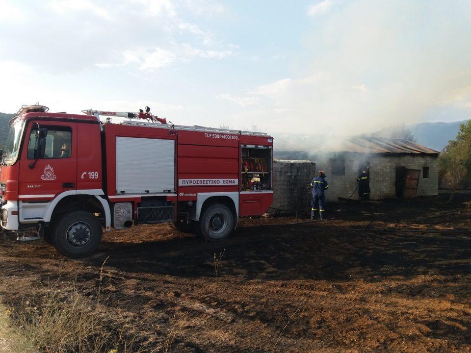 fwtia apothiki rodotopi 3