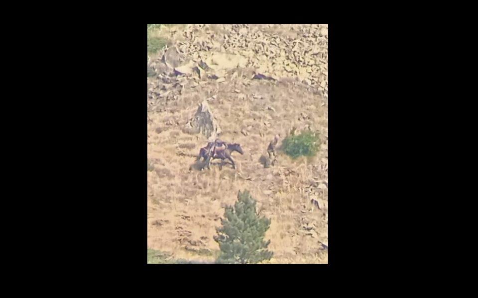 lathrothiria agriogido