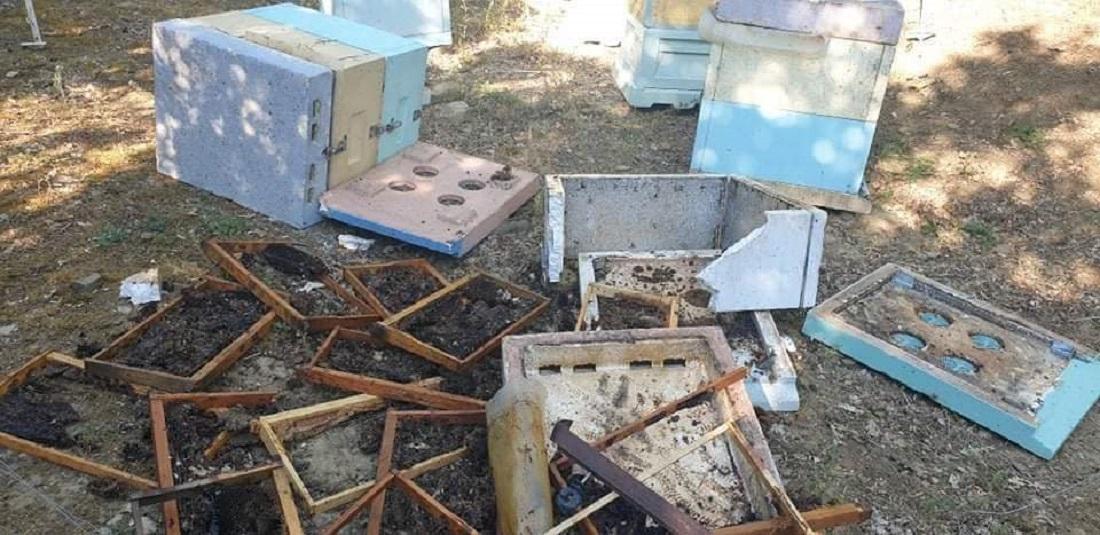 melissokomeio arkouda 1