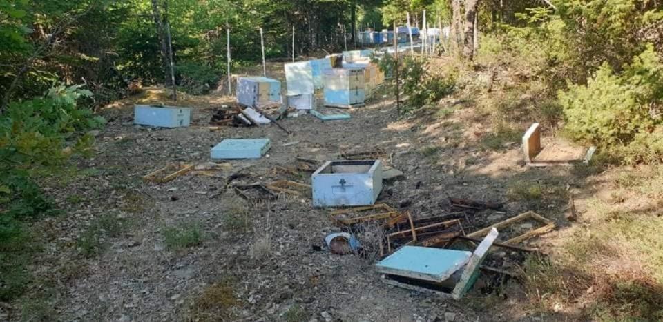 melissokomeio arkouda 3