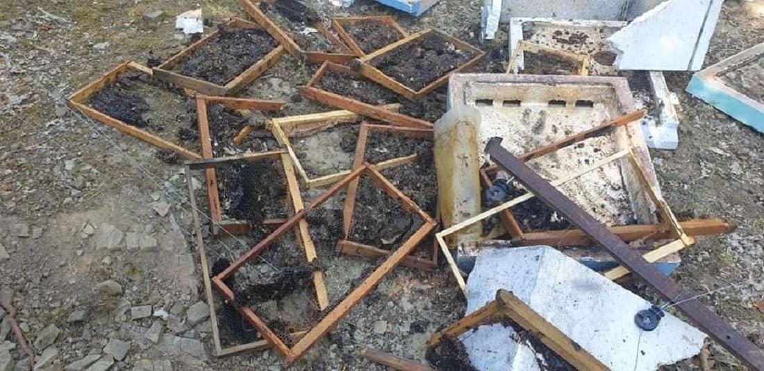 melissokomeio arkouda 4