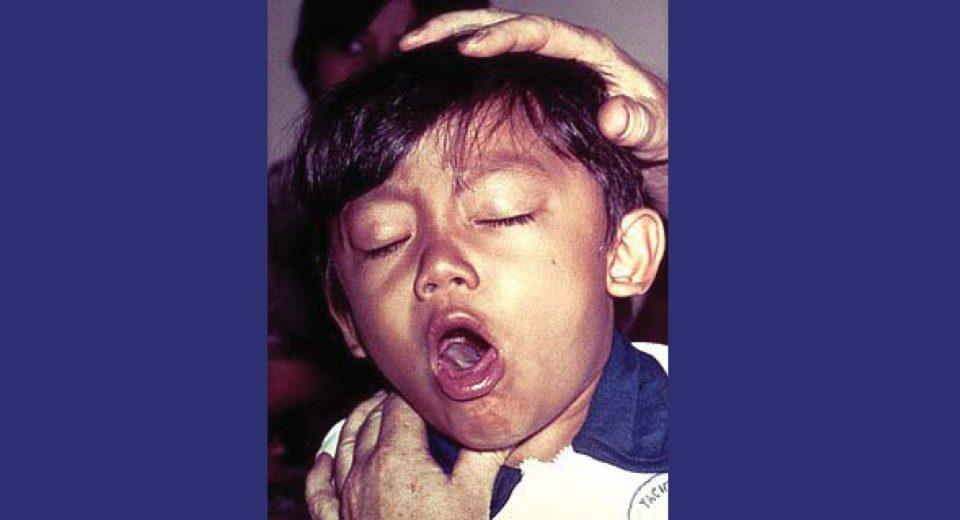 photo ΔΗΜΟΛΙΑΤΗ ΙΙ για site