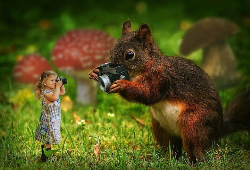 squirrel girl camera nature animal child cute small forest