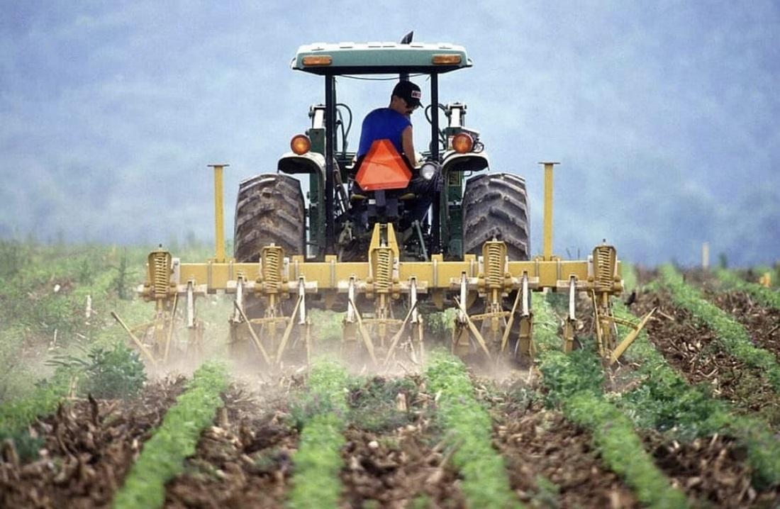 programma neoiagrotes