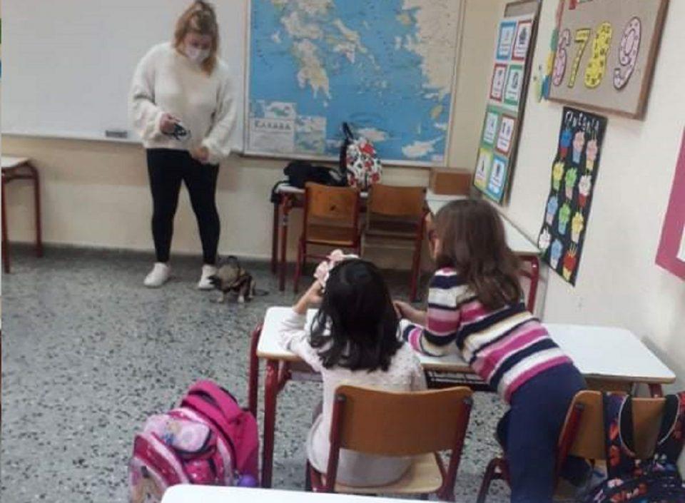 enimerwsiadespotasxoleia