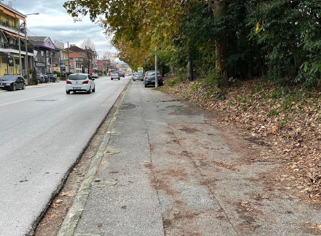 pezodromia nikopoleos