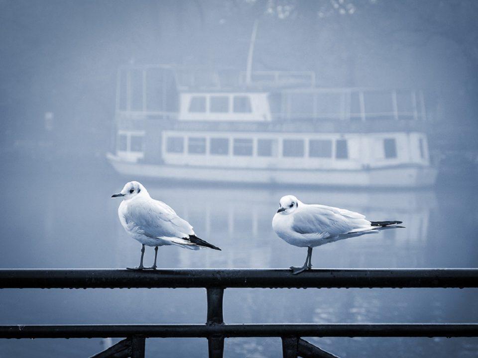 vakaros stin antara 2