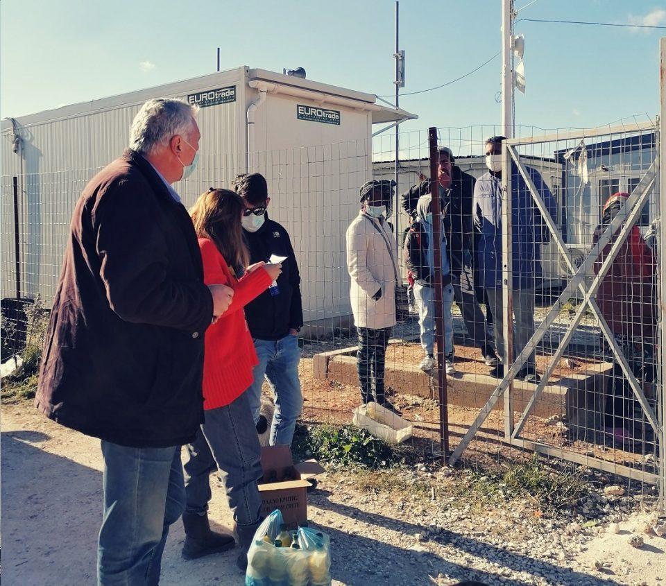 natsis elaiolado katsika