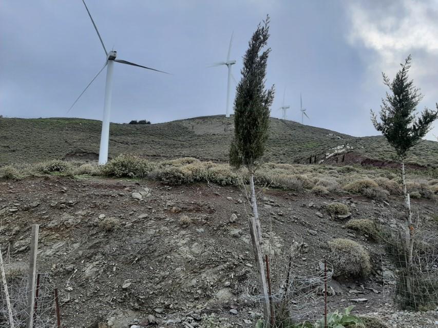 Χειμωνιάτικη βόλτα στο αιολικό πάρκο στην Μονή Επανωσήφη 63 ΕΠΑΝΩΣΗΦΗ 10 Custom