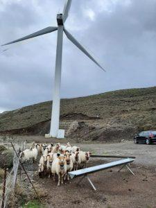 ΕΠΑΝΩΣΗΦΗ 2 Custom