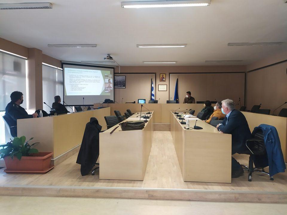 dimos zitsas sxedio fortisis