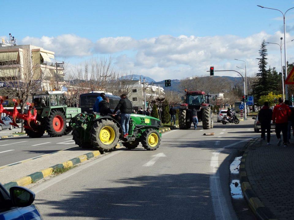 Agrotes Arta 14