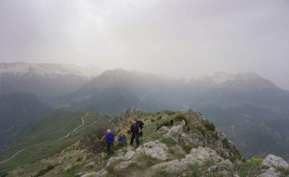 oreivasia prizasyrrako