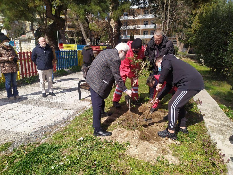 dentrofiteusi alsos 2