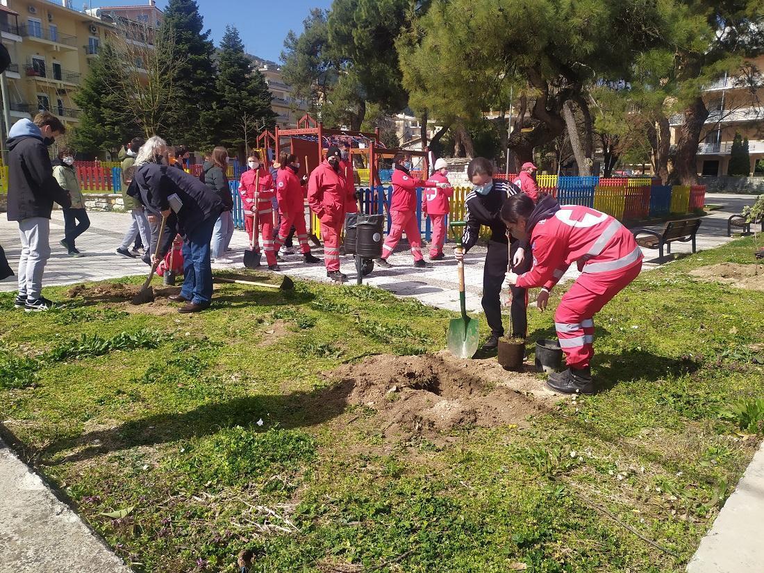 dentrofiteusi alsos 3