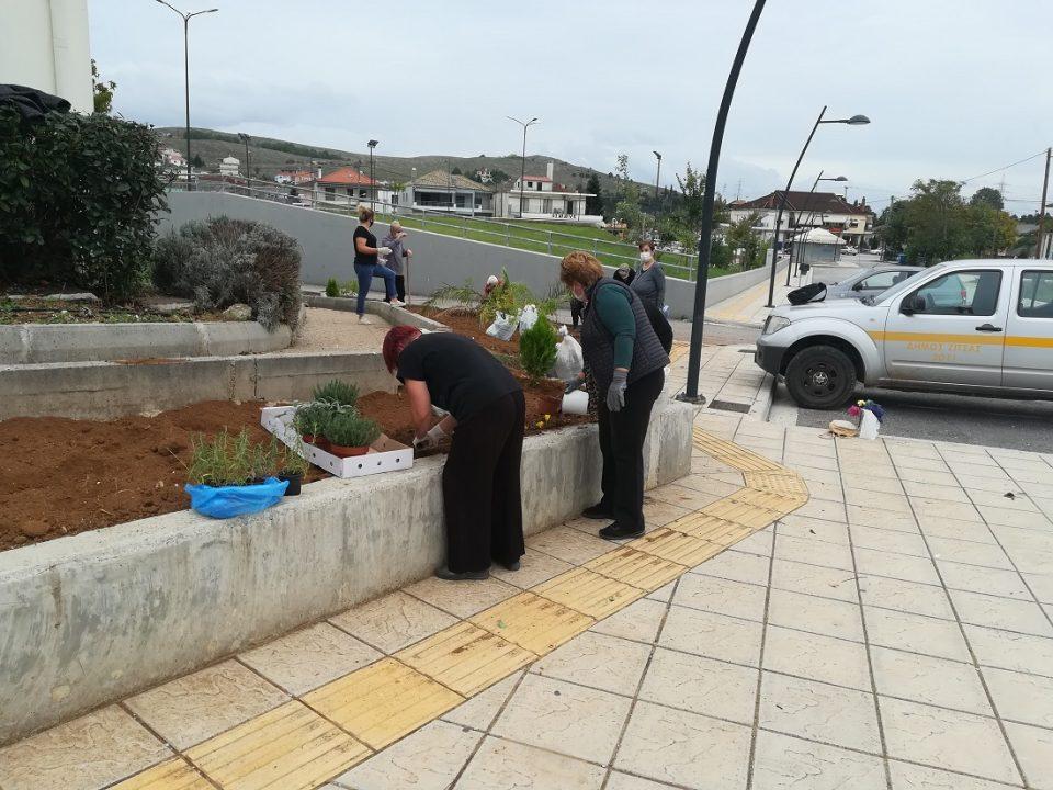 katartisiaromatika zitsa 1