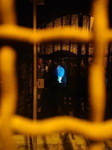 walk the talk 5 Custom