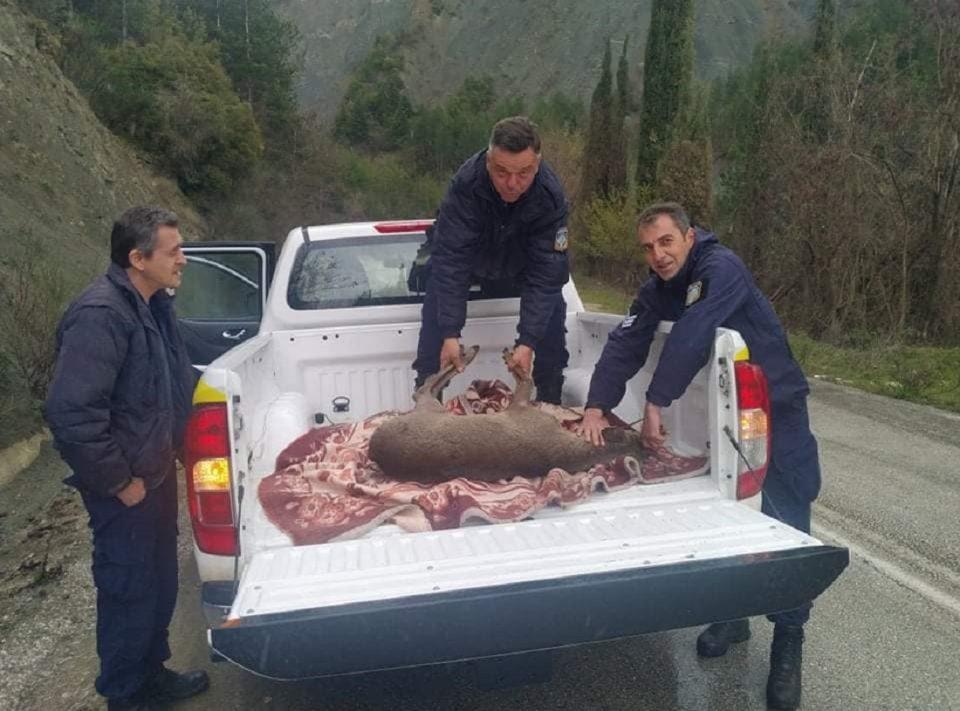 epixeirisi zarkadi 2