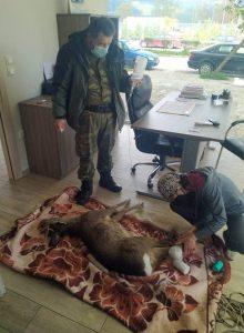 epixeirisi zarkadi 3