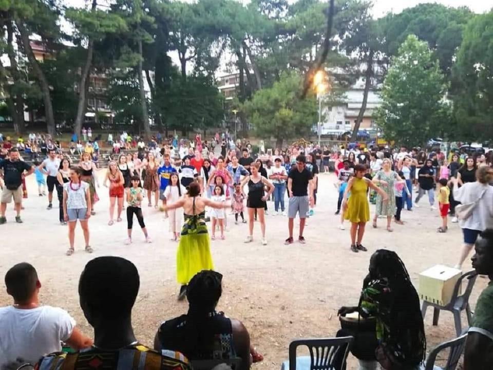 alsos afrikanikoixoroi