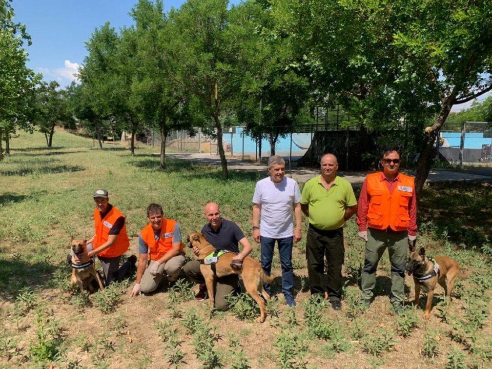 amyras velgikospoimenikos