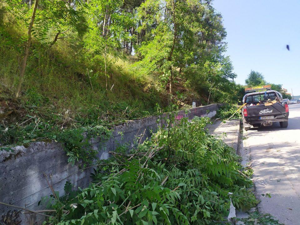 dasyllio katharismos