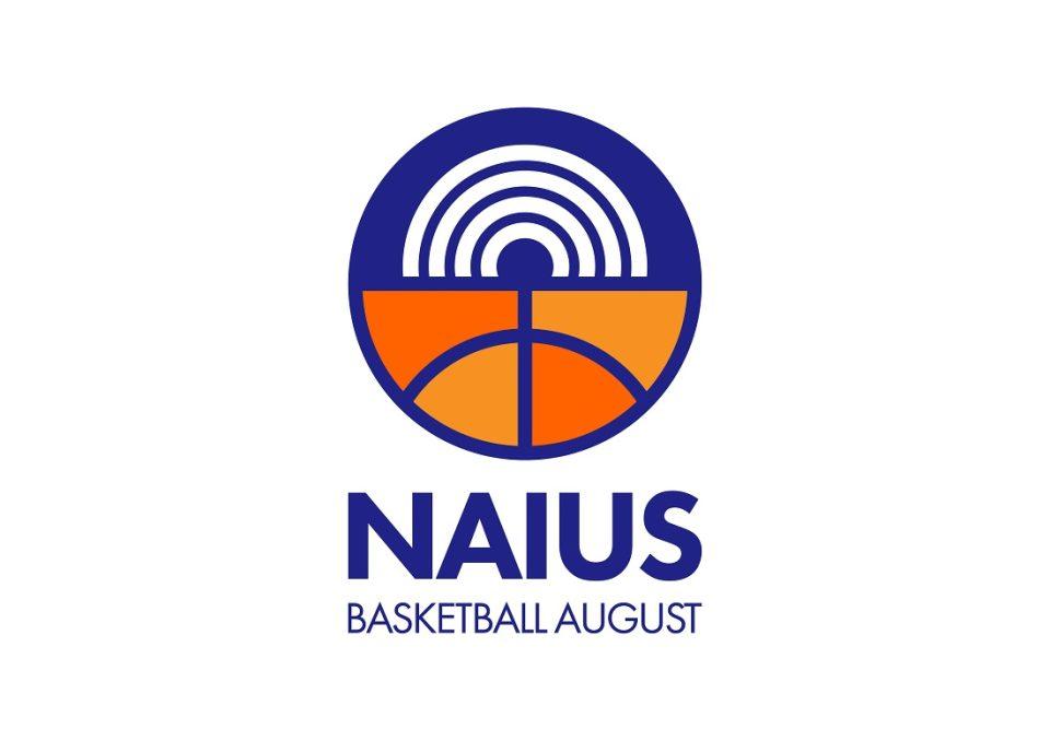 Naius Logo Blue Orange