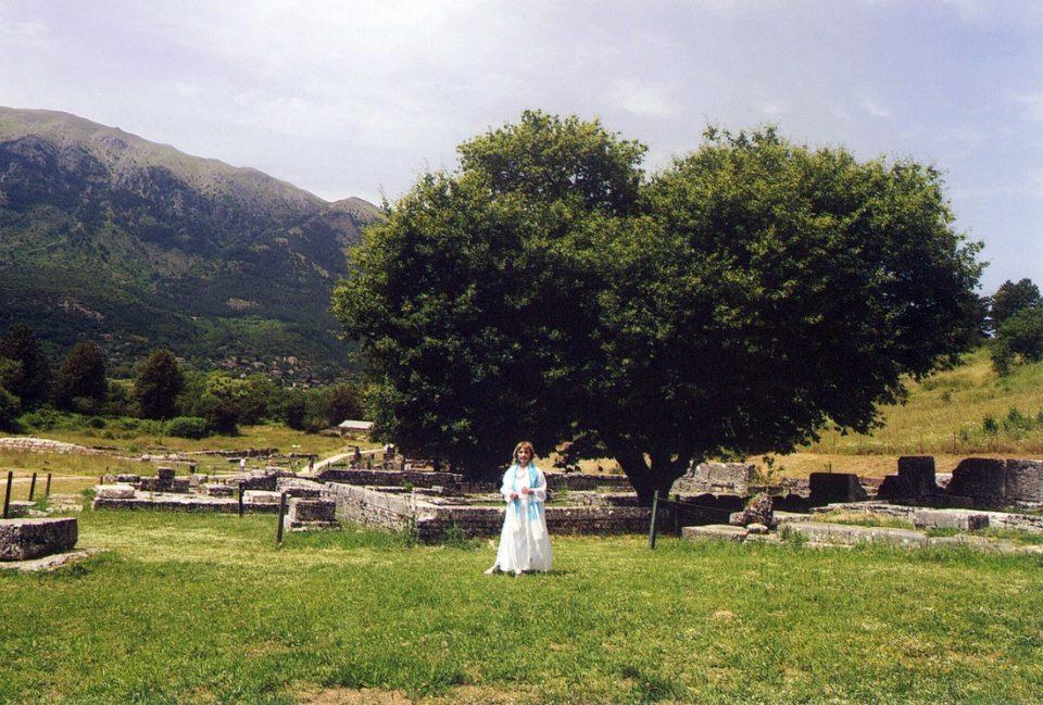 Partheniou Dwdwni