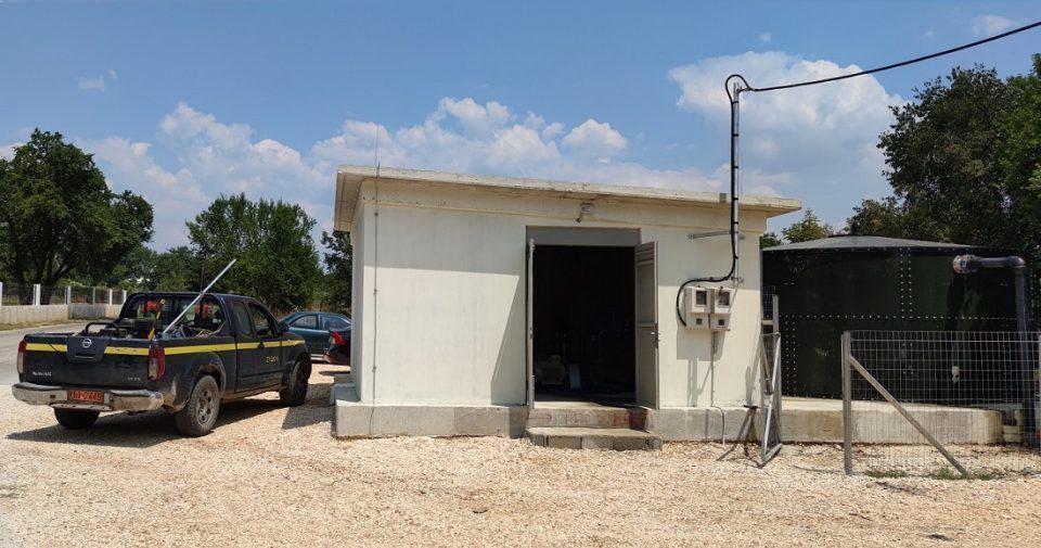 ampelia antliostasio