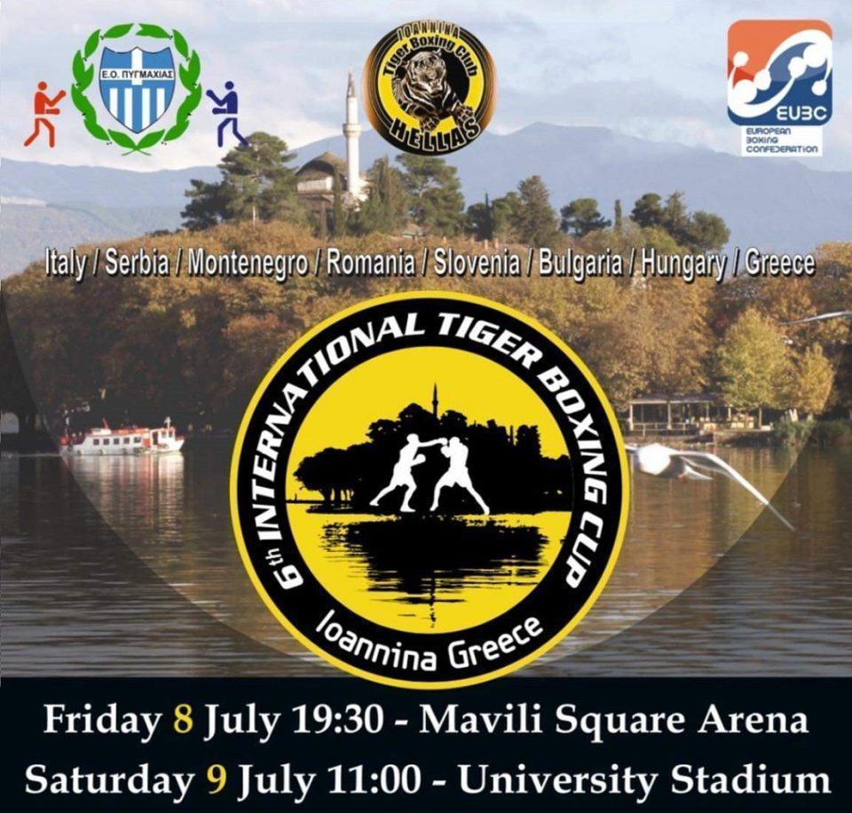 box tigercup poster