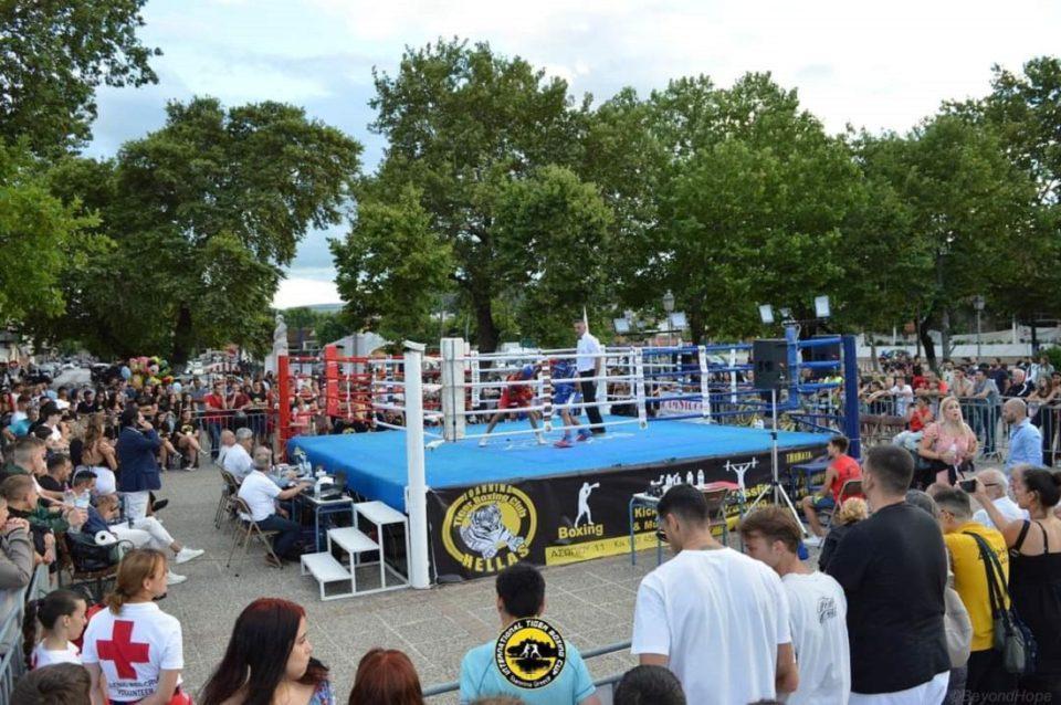 tiger boxing cup