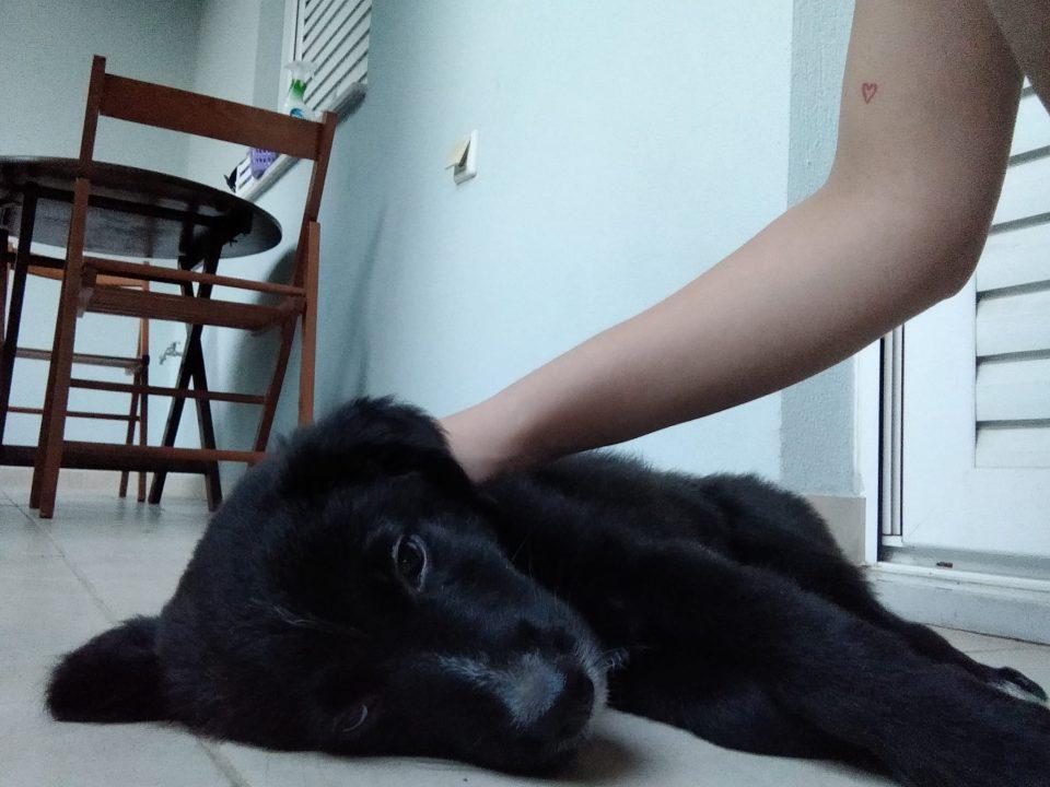 μπόμπιρας 1