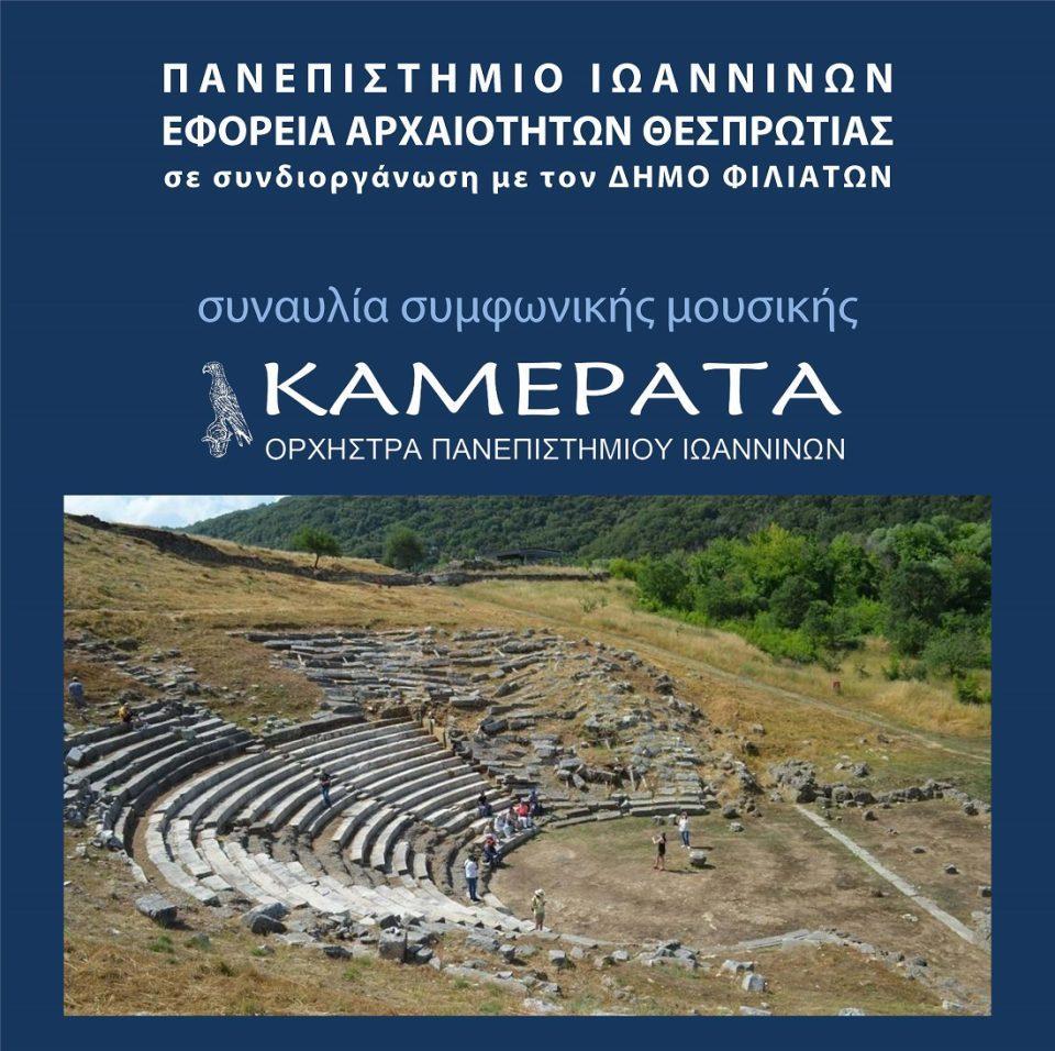 kamerata gitana poster