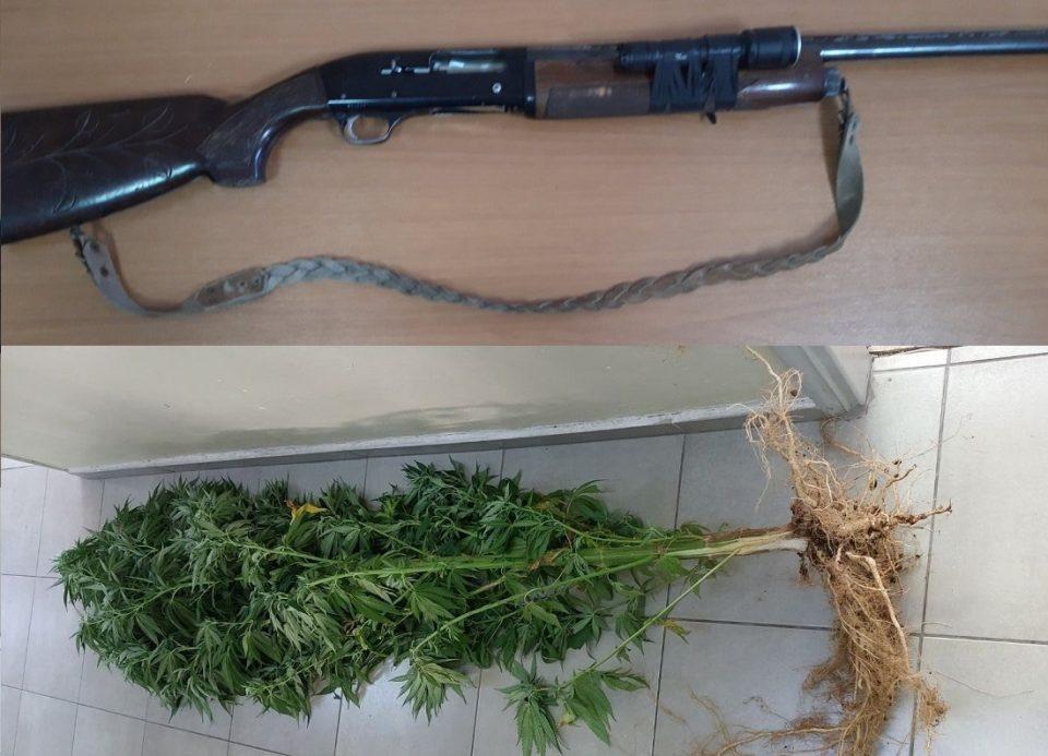 karampina kannavi igoumenitsa