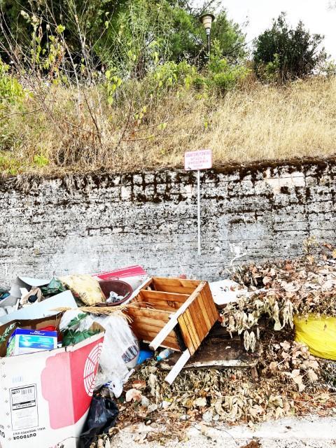 ΜΠΑΖΑ ΣΚΟΥΠΙΔΙΑ details Custom