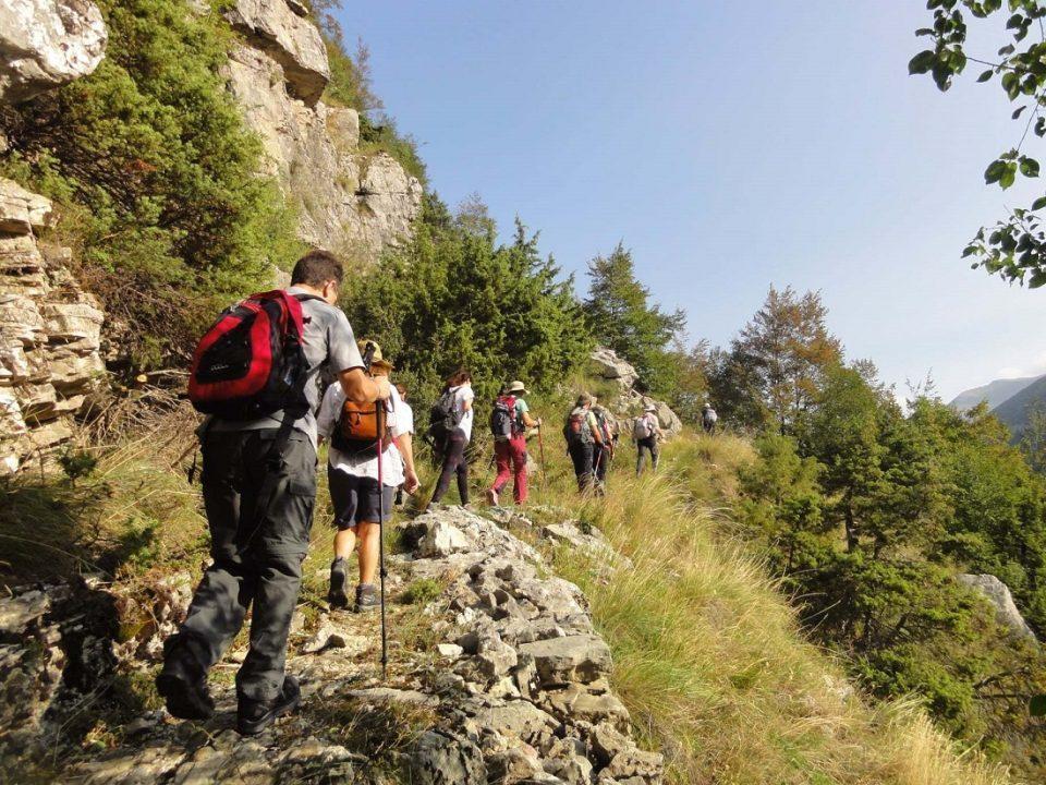 oreivatikosioanninon syrrako