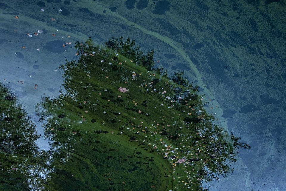 benekos ainigmatikes metamorfwseis 1