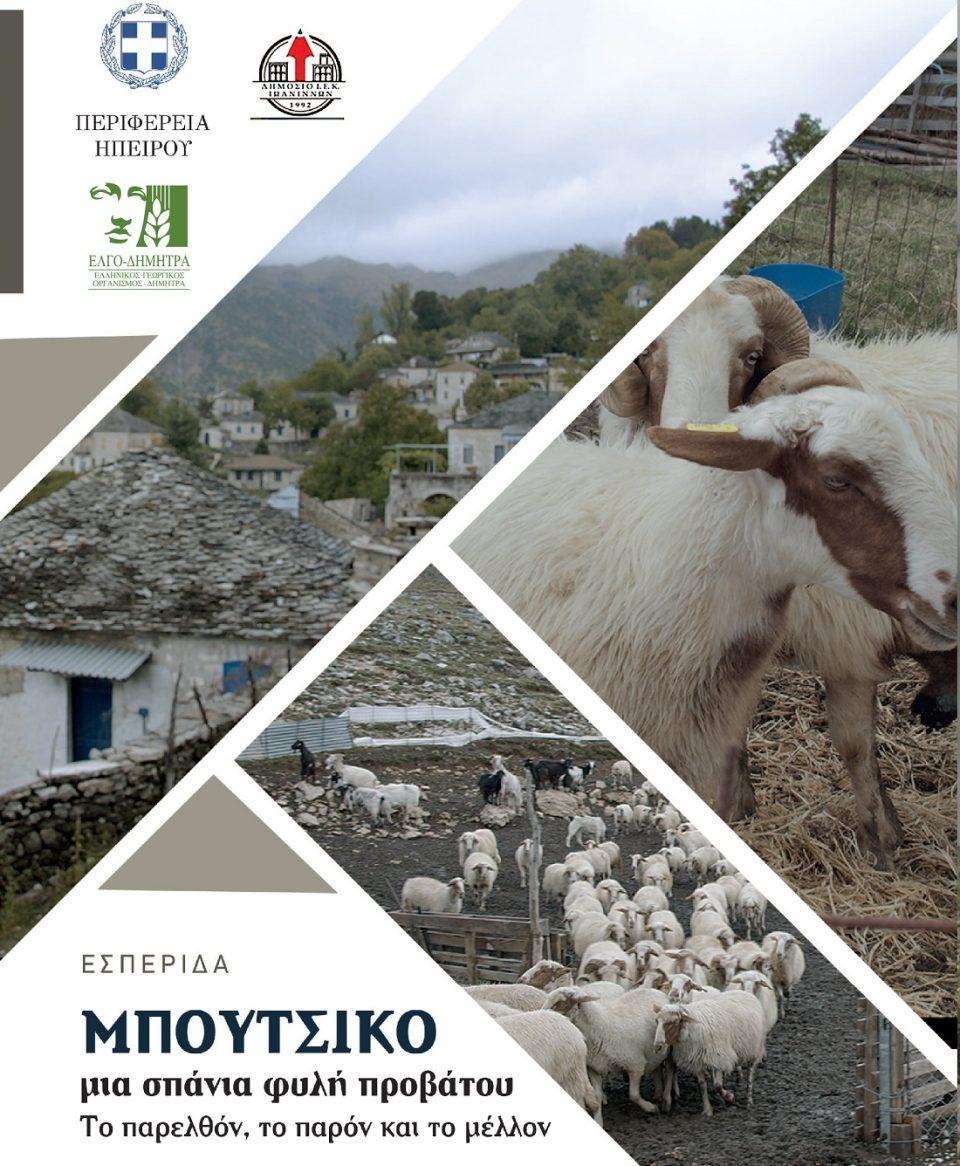 esperida mpoutsiko poster