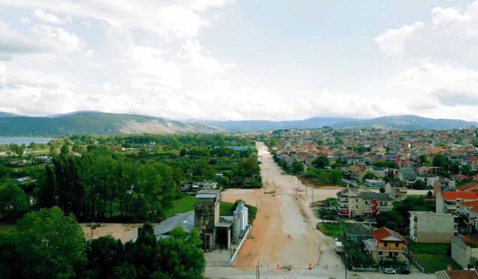 megalosdaktylios drone