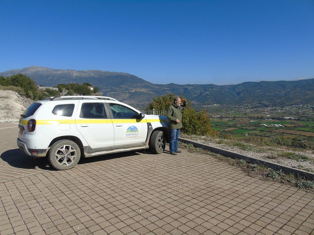 ofypeka kastritsa
