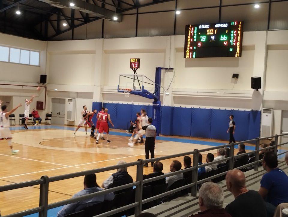 vikosfalkons doxalefkadas 4