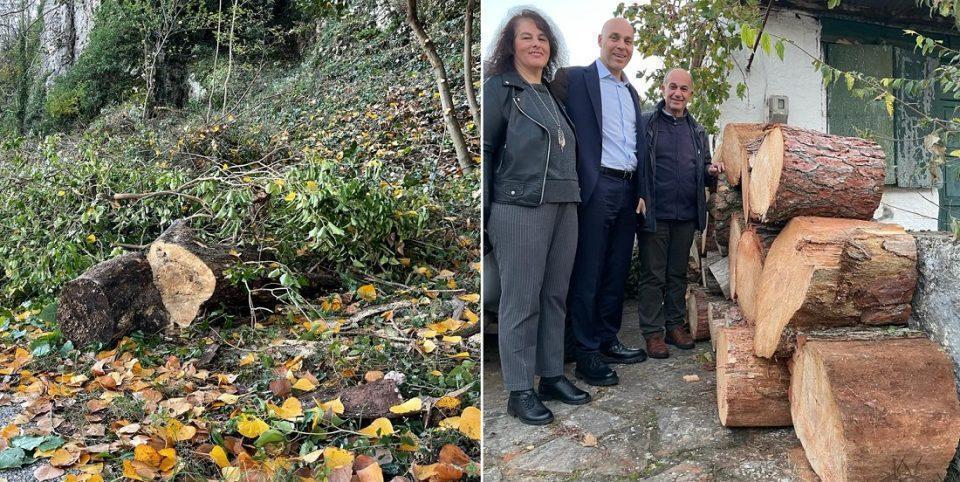 amyras dasoprostasianisi