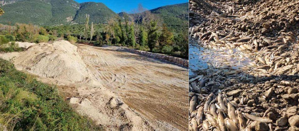 louros psarianekra 2