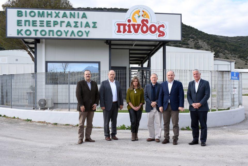 mnimonio pindos amerikaniki