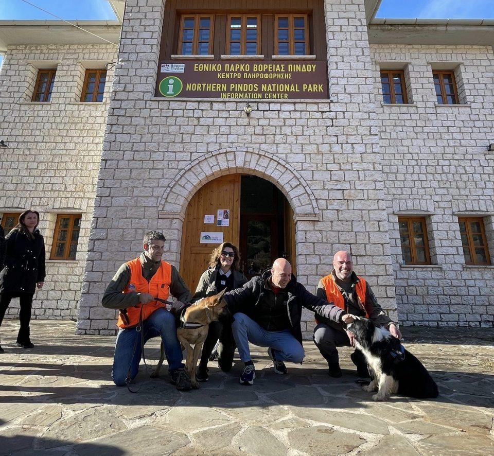 amyras skyloi anixneysis