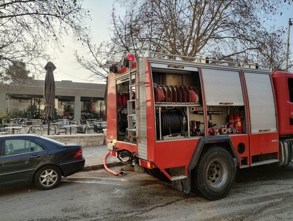 fwtia Oasi 1