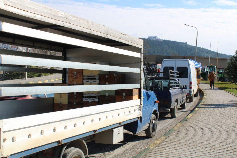 melissokomikos fortigo