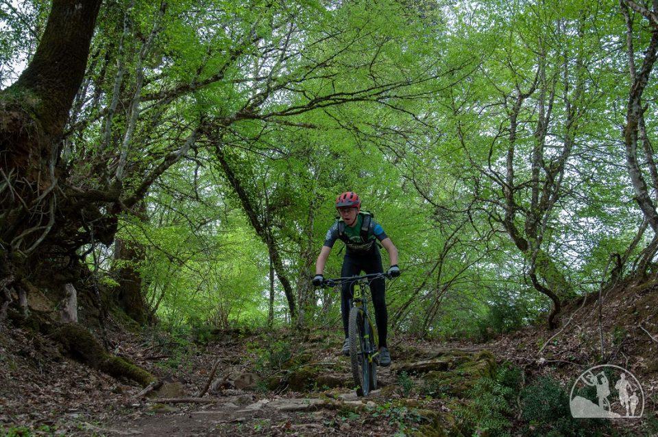 parakalamies diadromes