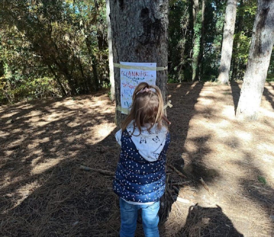 23o Nhpiagwgeio Dasos