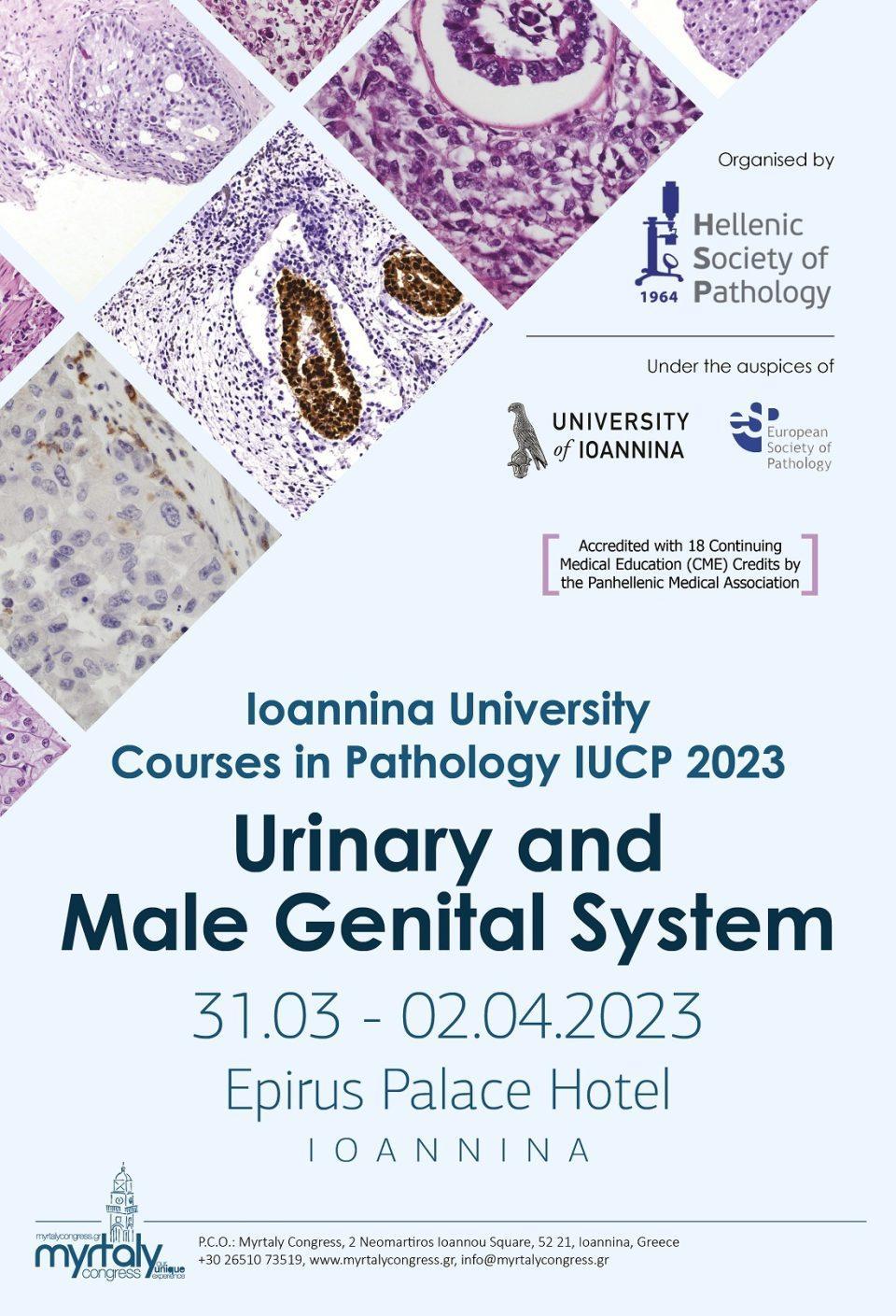 Urinary Poster